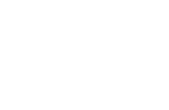 Napo Gloves